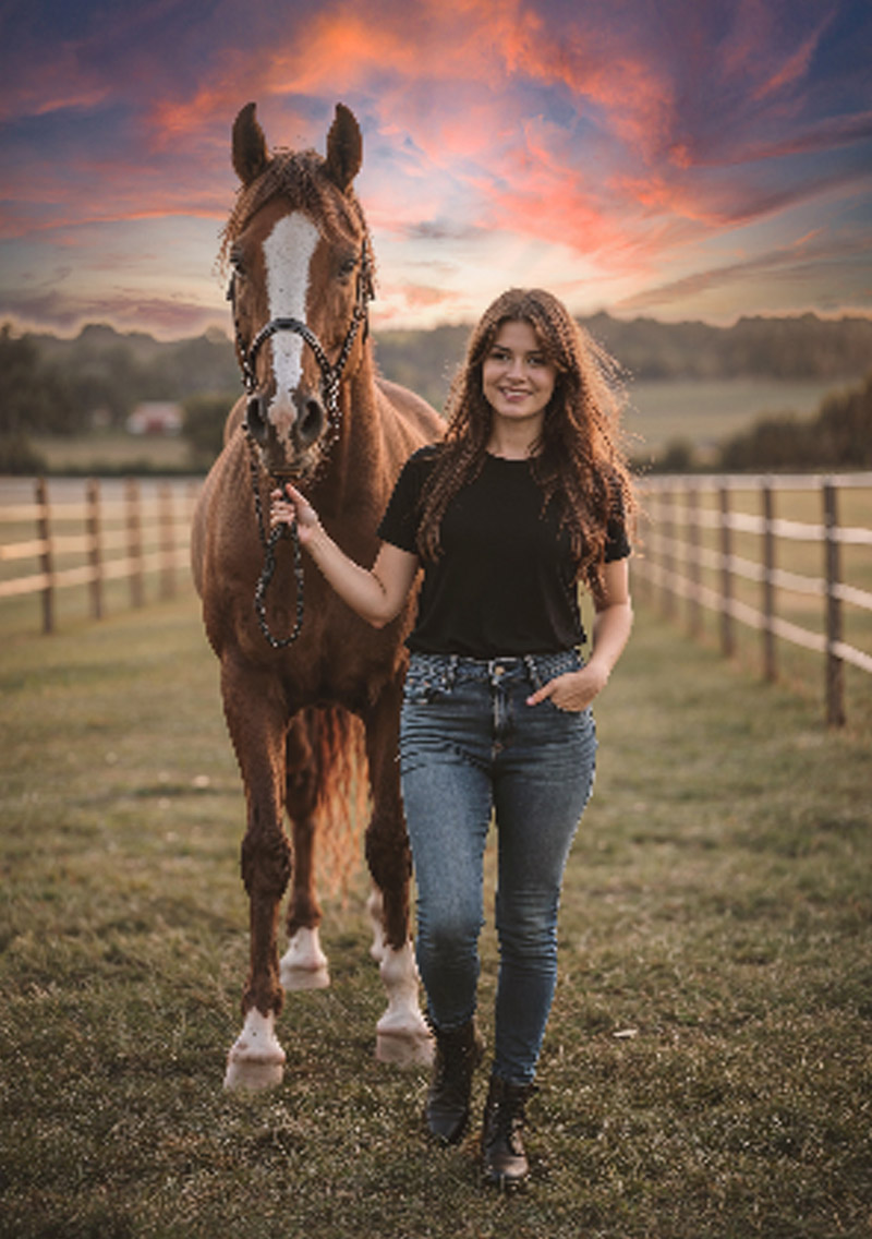 Passeggiate a cavallo