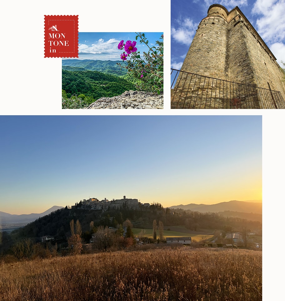 Montone In