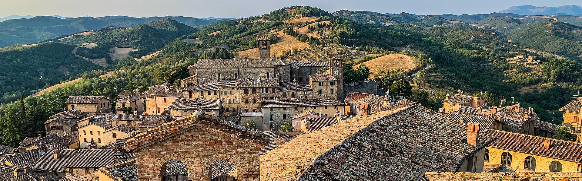 Montone In